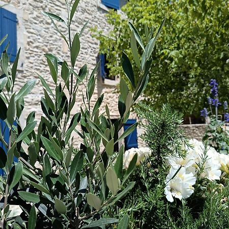 Namaste Home, Votre Havre De Paix A St Remy ! Parking Wifi Inclus Saint-Rémy-de-Provence Exterior foto
