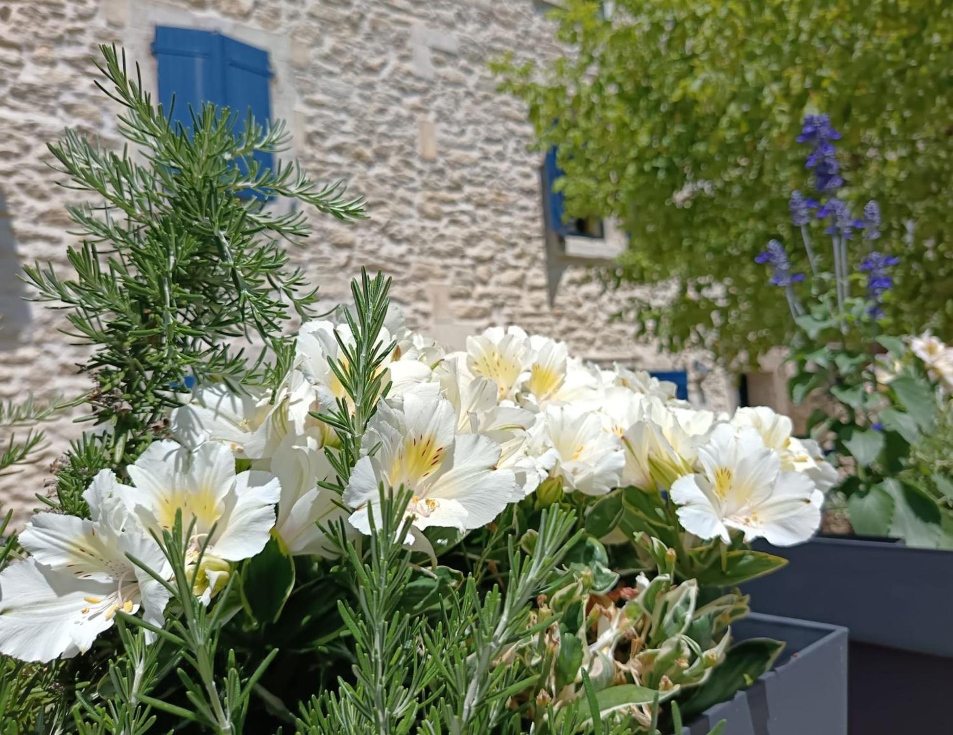 Namaste Home, Votre Havre De Paix A St Remy ! Parking Wifi Inclus Saint-Rémy-de-Provence Exterior foto