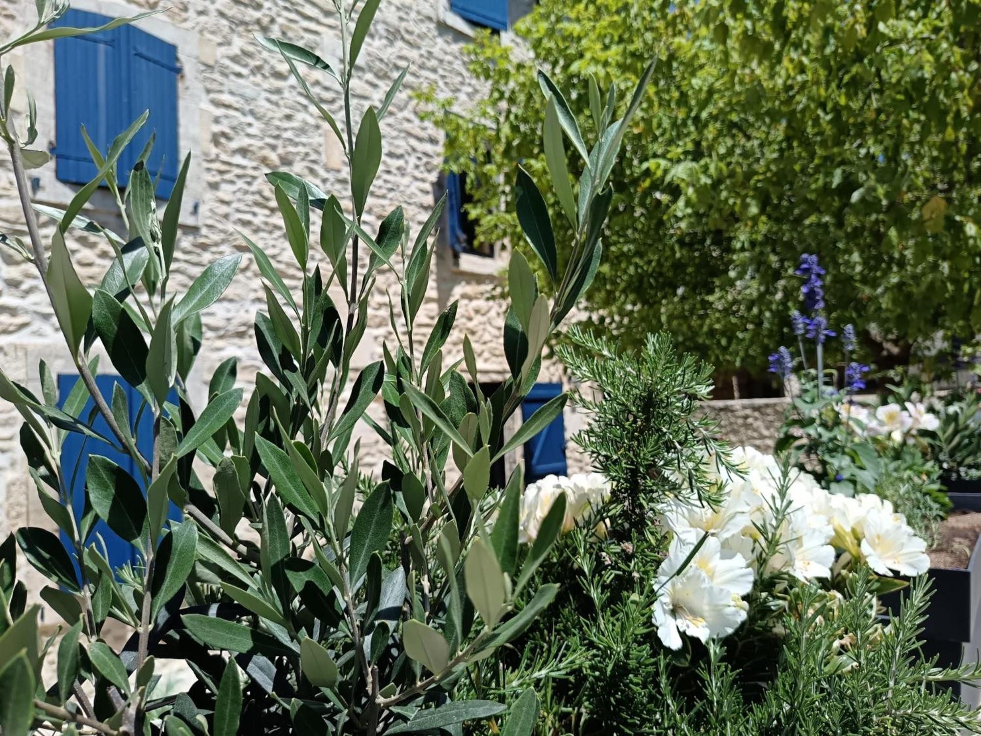 Namaste Home, Votre Havre De Paix A St Remy ! Parking Wifi Inclus Saint-Rémy-de-Provence Exterior foto